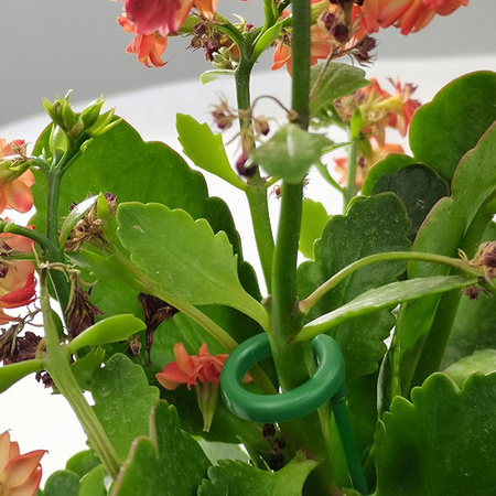 Plant stand - 27cm - plant stand - support